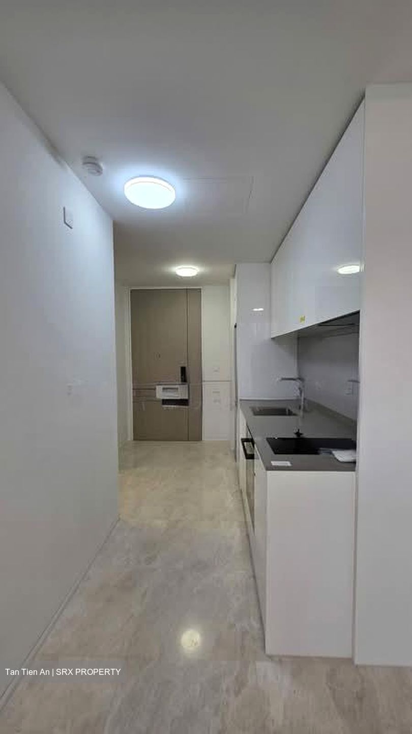 Amber Park (D15), Condominium #543541071